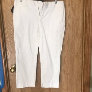 Banana Republic stretch crops